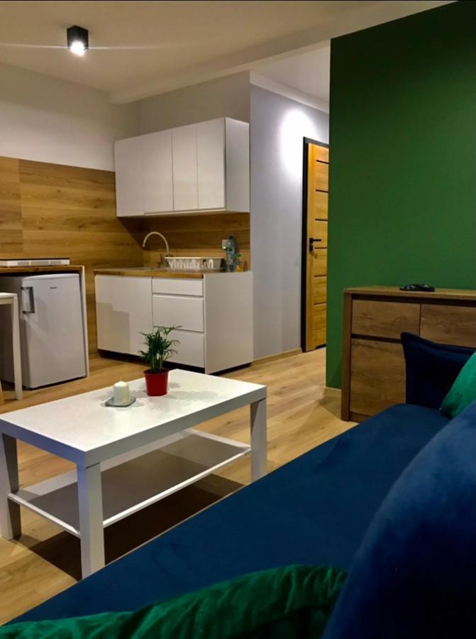 Apartamenty Widokowe Na Szczycie コルビエルフ エクステリア 写真